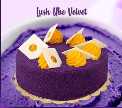 Lush Ube Velvet 6rd - Mrs G