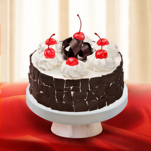 Black Forest Junior - Red Ribbon