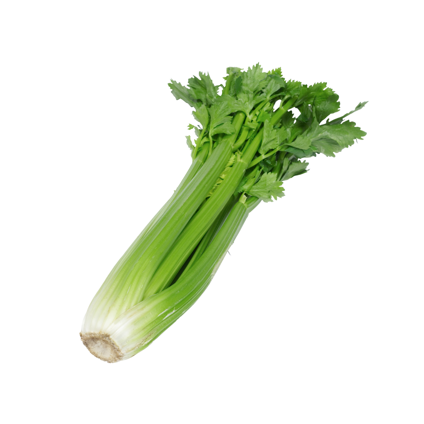 1kg - Celery (Kinsay)