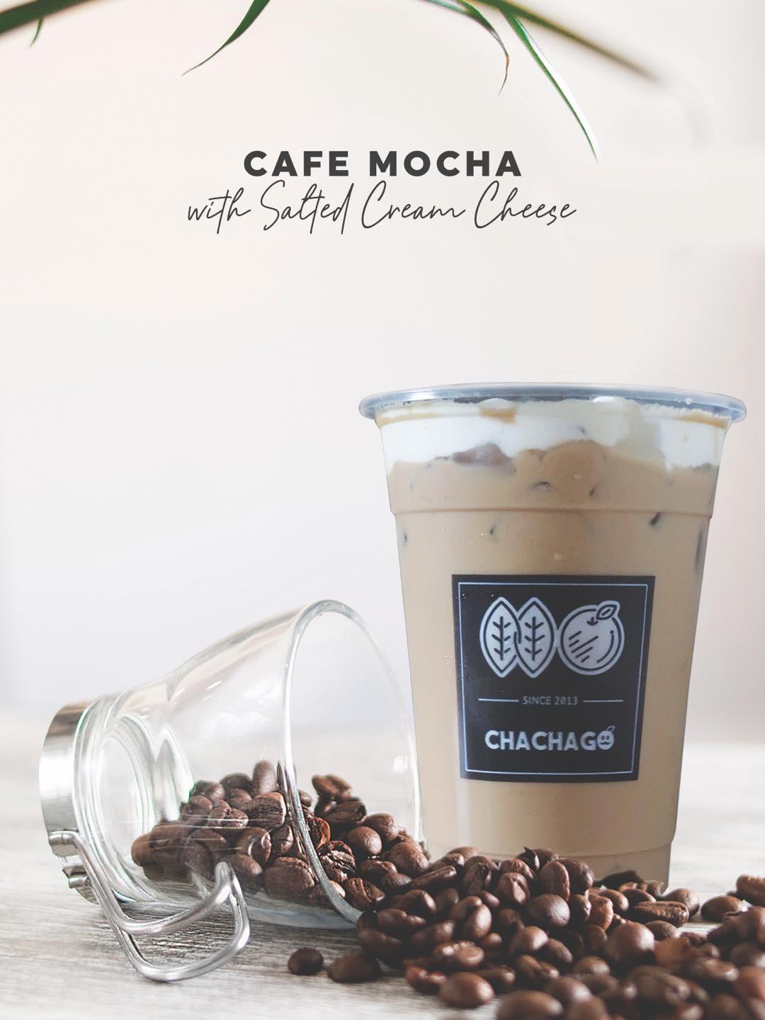 Cafe Mocha with Salted Cream Cheese Large - Chachago