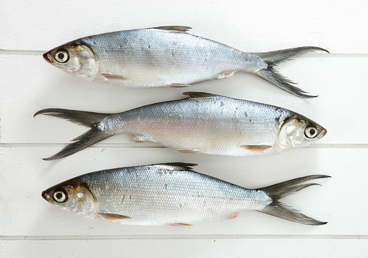 Fresh Bangus (3in1)