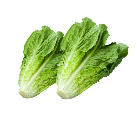 1kg - Lettuce Romaine ( Letsugas Romana)