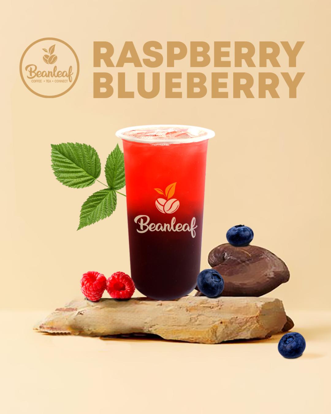 Medium Raspberry  Blueberry Fruit Tea - Beanleaf