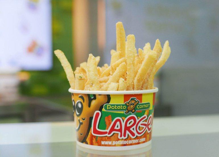 Large Core Sour Cream Flavor World's Best Flavored Fries  - Potato Corner