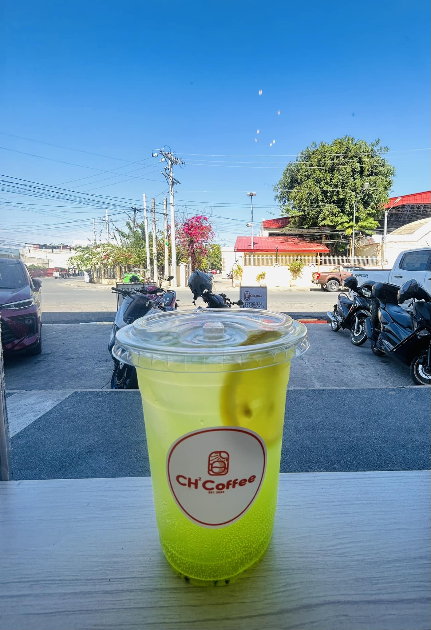 Medium Kiwi Apple Soda Coolers