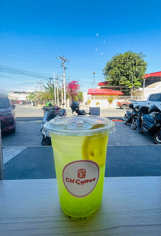 Large Kiwi Apple Soda Coolers