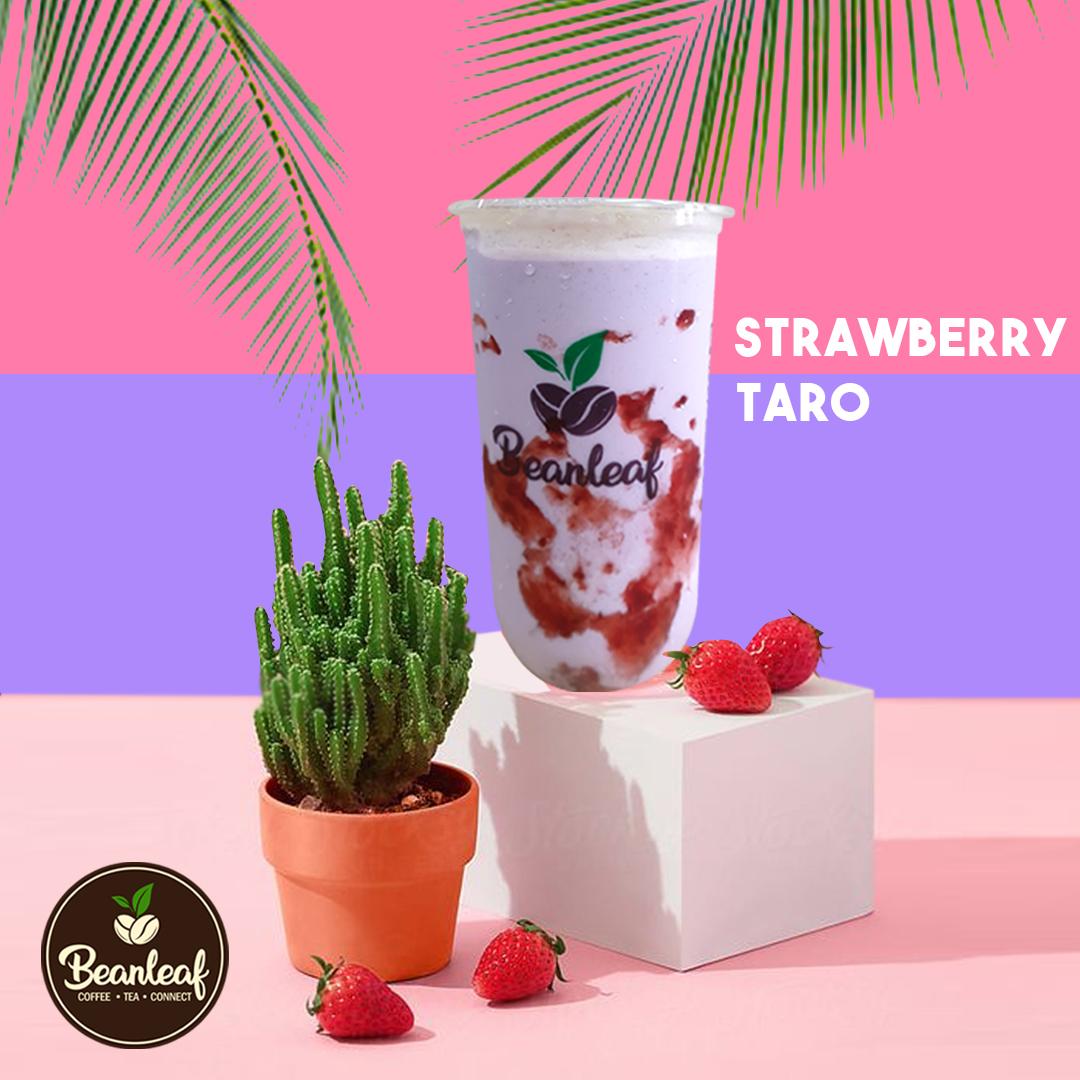 Medium Strawberry Taro Series - Beanleaf