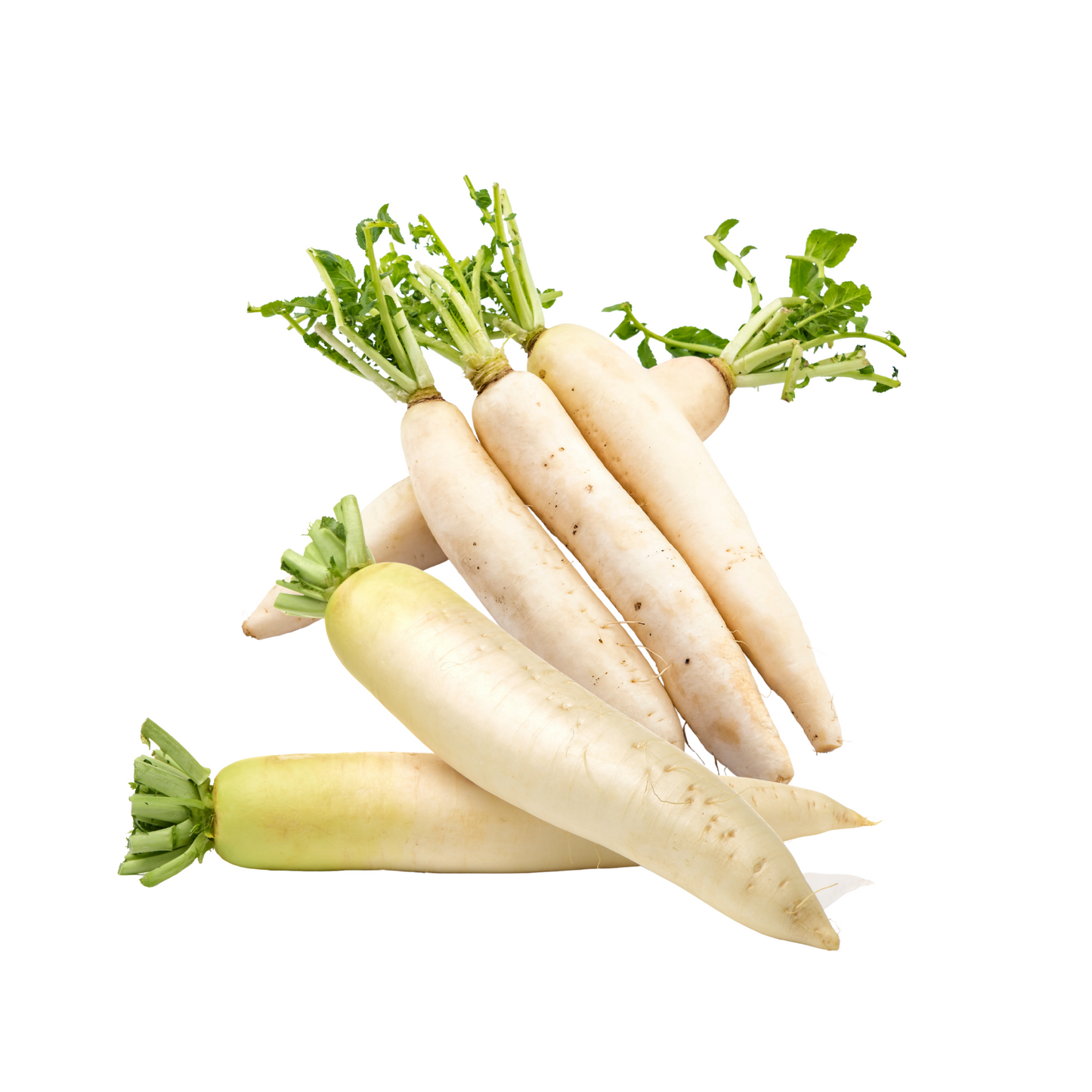 1kg - Radish (Labanos)