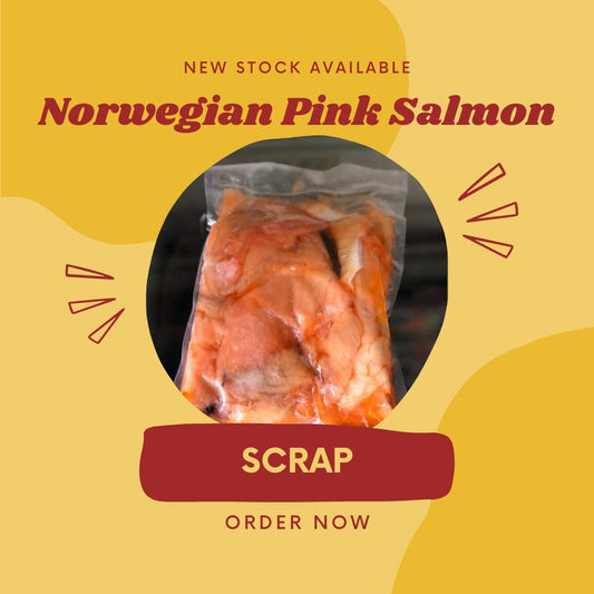 Salmon Scrap - Norwegian Pink Salmon