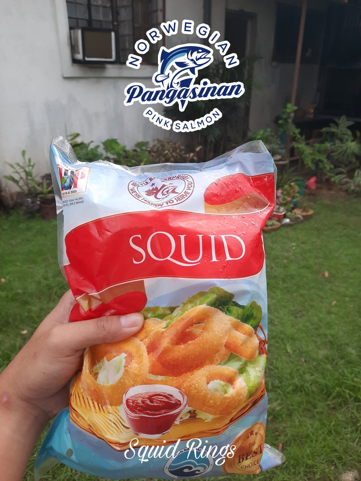 Squid Ring - Norwegian Pink Salmon