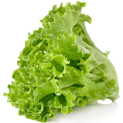 1 kg - Green Ice Lettuce